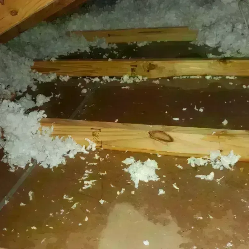 Attic Water Damage in Del Rey, CA