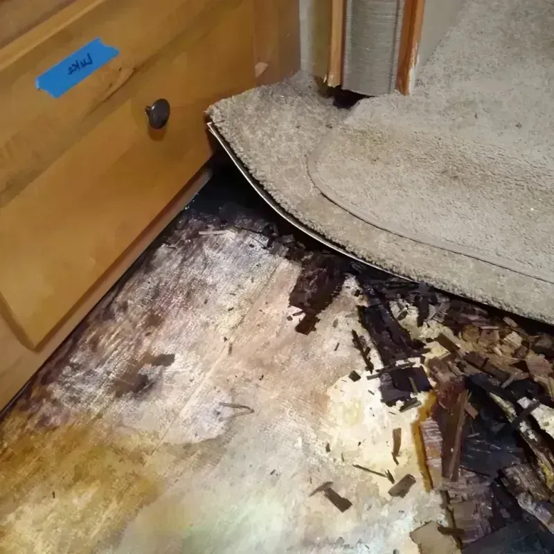 Wood Floor Water Damage in Del Rey, CA